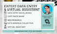 expert in data entry, copy paste and web research