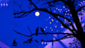 a peace full night