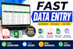 provide 100 accurate data entry services with quick delivery