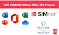 develop ms access database assignments and projects