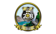 design professional county star chapter logo