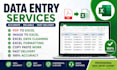 do data entry, PDF to excel, image to excel, excel data cleaning and formatting