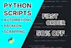 be your python developer for custom software and scripts