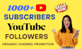 provide you 1000 youtube followers