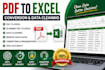 convert PDF to excel and clean, organize data with accuracy