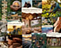 design a clean, aesthetic and personalized vision board