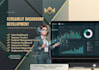 develop a professional streamlit dashboard and web app