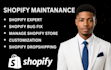 provide shopify store maintenance product upload SEO speed optimization