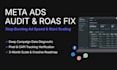 do a professional meta ads audit and strategy to scale roas