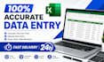 do professional data entry excel web research copy paste in 24h