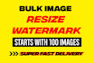 resize, watermark, and optimize 100 images with super fast delivery