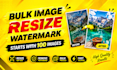 resize, watermark, and optimize 100 images with super fast delivery