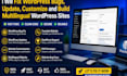 fix wordpress bugs, update, customize and build multilingual wordpress sites