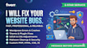 fix your website issues