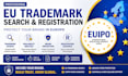 conduct an eu trademark search and trademark registration