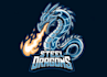 create dragon mascot logo design with unlimited review
