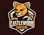 design cheetah mascot logo design with 1 day delivery