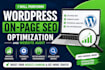 perform wordpress on page optimization and website audit