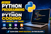 do python programming and python coding for script and task