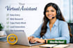 do web research, data mining and accurate data entry