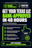 your texas llc reinstatement documents after forfeiture or termination