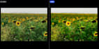 professionally edit your photos in adobe lightroom