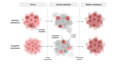 design professional scientific diagrams and illustrations