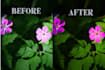 enhance and edit your photos