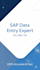 handle sap tm sd mm data entry, cleanup, upload and validation work