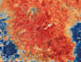run remote sensing analysis with google earth engine