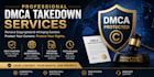 submit dmca takedown notices to remove stolen content