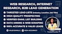 do web research, internet research and b2b lead generation