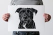 custom royal pet portrait cat portrait, dog portrait