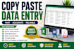 do excel data cleaning, formatting, and spreadsheet cleanup