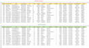 clean, format and organize excel data professionally