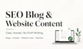 write SEO articles, blogs, and website content