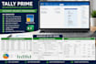 do tally prime bookkeeping, accounting and excel data entry