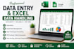 do professional data entry and excel data handling