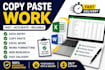 do copy paste work, typing, data entry and excel tasks