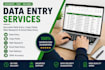 do accurate data entry, copy paste and web research