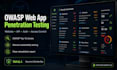 perform owasp web app penetration testing