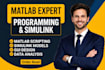 do matlab programming, simulink modelling, and custom gui design