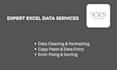 do expert excel data entry, data cleaning, and formatting