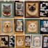 do a wool felted pet portrait keepsake frame