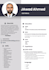 make a professional cv design