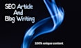 do professional content writing and seo blog posts