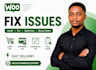 fix and audit woocommerce checkout cart and payment issues
