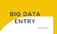 do big data entry projects in 24 hours