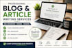 write blog posts and articles in english