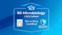 write SEO medical and microbiology articles